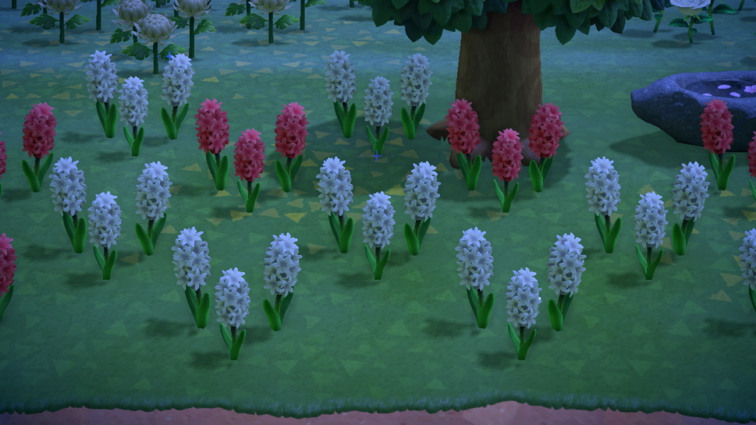 Animal Crossing New Horizons Flowers Guide How to Get All Flower Breeds