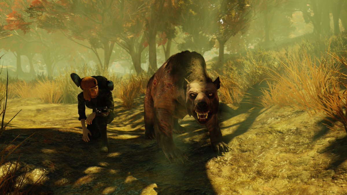 Fallout 76 Players Are Turning The Game Into A Pet Sim