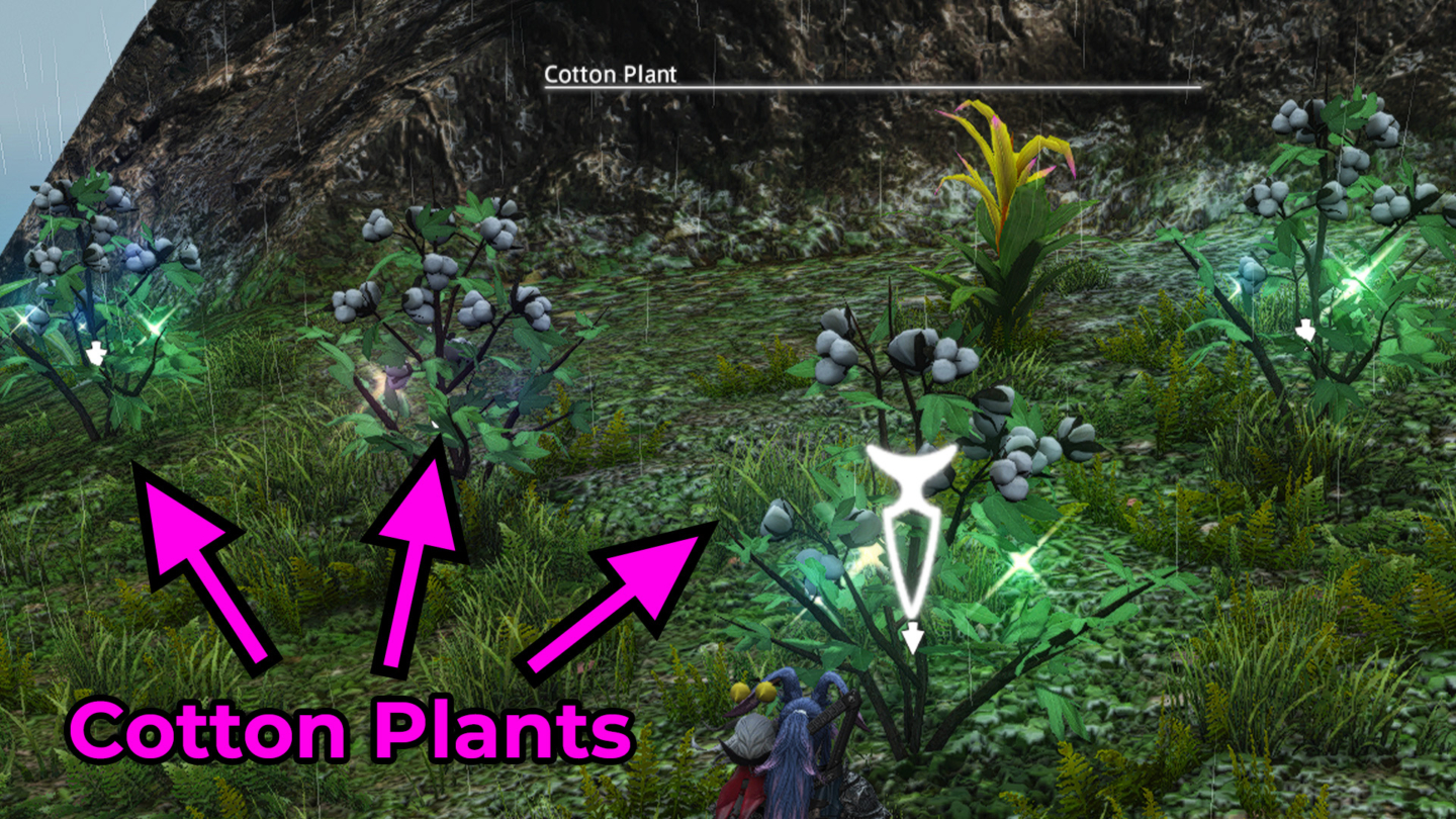 FFXIV Island Cotton Boll Guide How to Find Island Sanctuary Cotton Plants