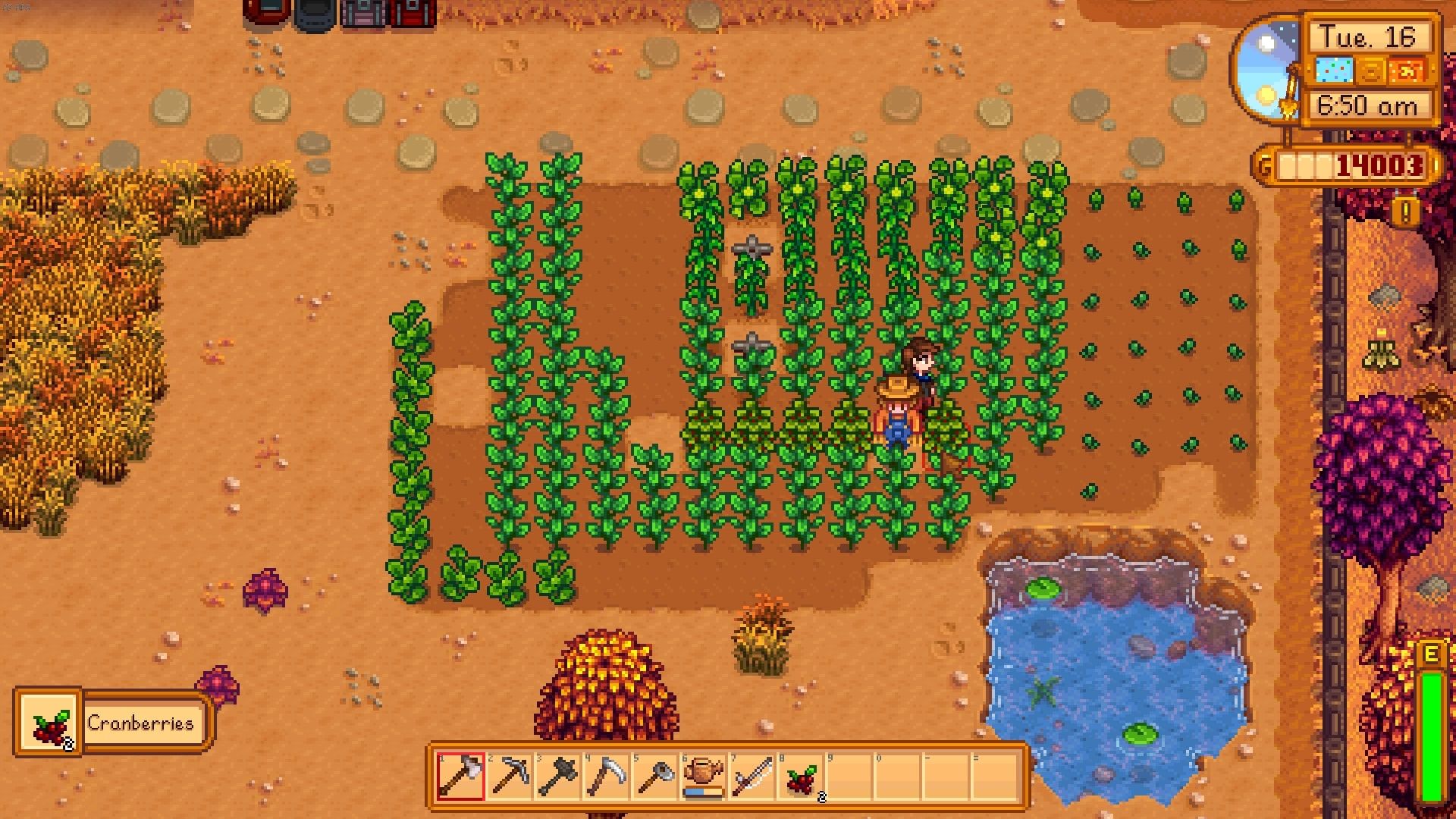 Stardew valley fish bundle guide - boolcomputer